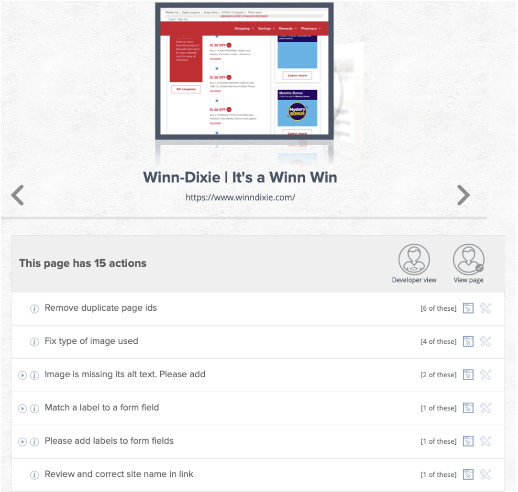 Actions required to make the Winn Dixie website more accessible to customers